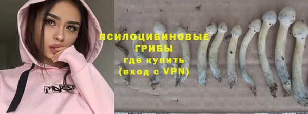 прущие грибы Белоозёрский