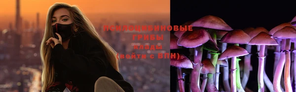 соль ск Белокуриха