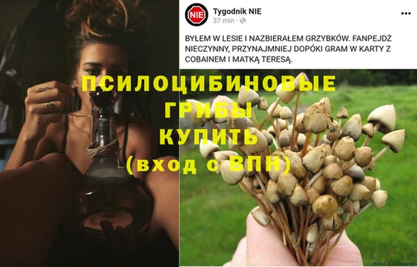 spice Баксан