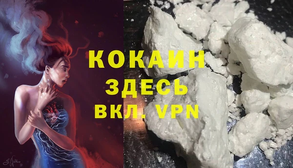 гашиш Богданович